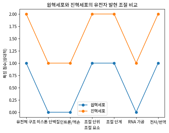 원핵세포와 진핵세포의 유전자 발현 조절 비교