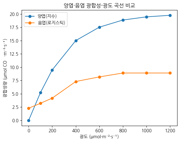 양엽·음엽 순광합성-광도 곡선 비교
