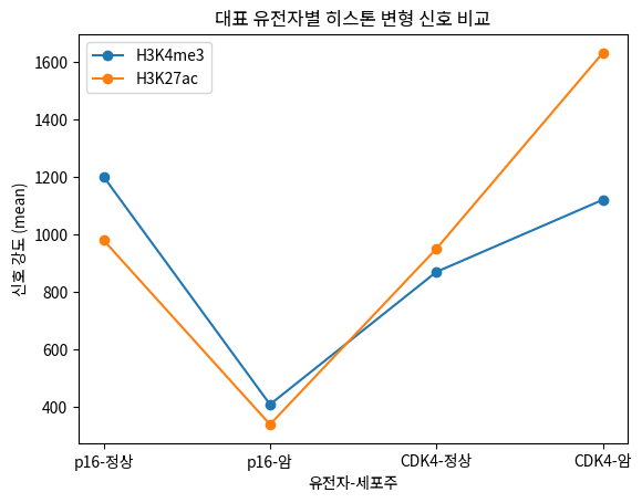 대표 유전자별 히스톤 변형 신호 비교