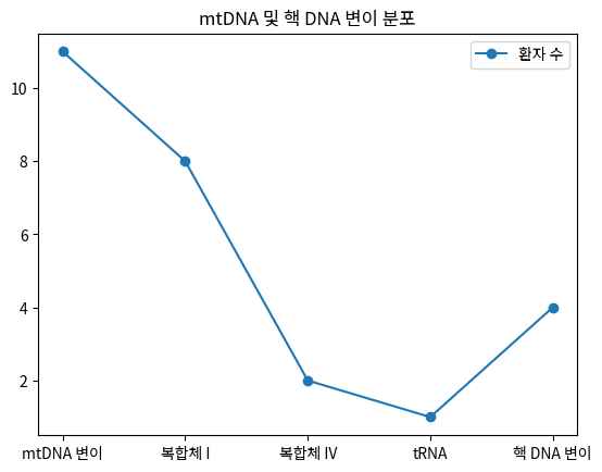 mtDNA 및 핵 DNA 변이 분포