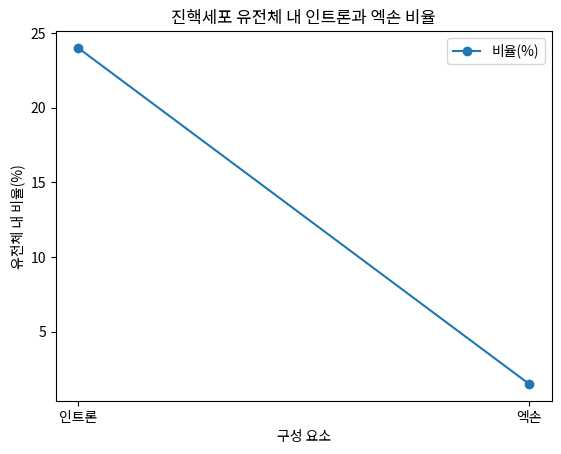 진핵세포 유전체 내 인트론과 엑손 비율