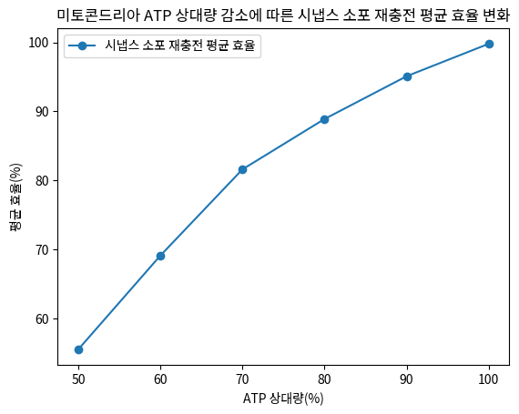 미토콘드리아 ATP 상대량 감소에 따른 시냅스 소포 재충전 평균 효율 변화