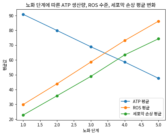 노화 단계에 따른 ATP 생산량, ROS 수준, 세포막 손상 평균 변화