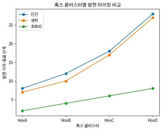 혹스 클러스터별 발현 타이밍 비교