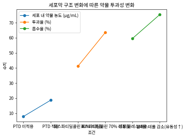 세포막 구조 변화에 따른 약물 투과성 변화