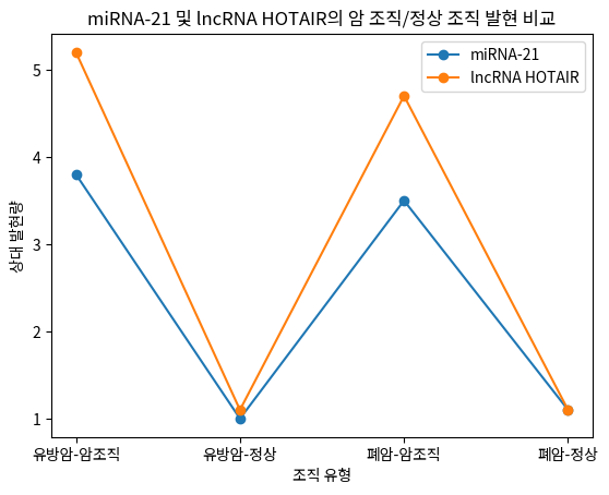 miRNA-21 및 lncRNA HOTAIR의 암 조직/정상 조직 발현 비교